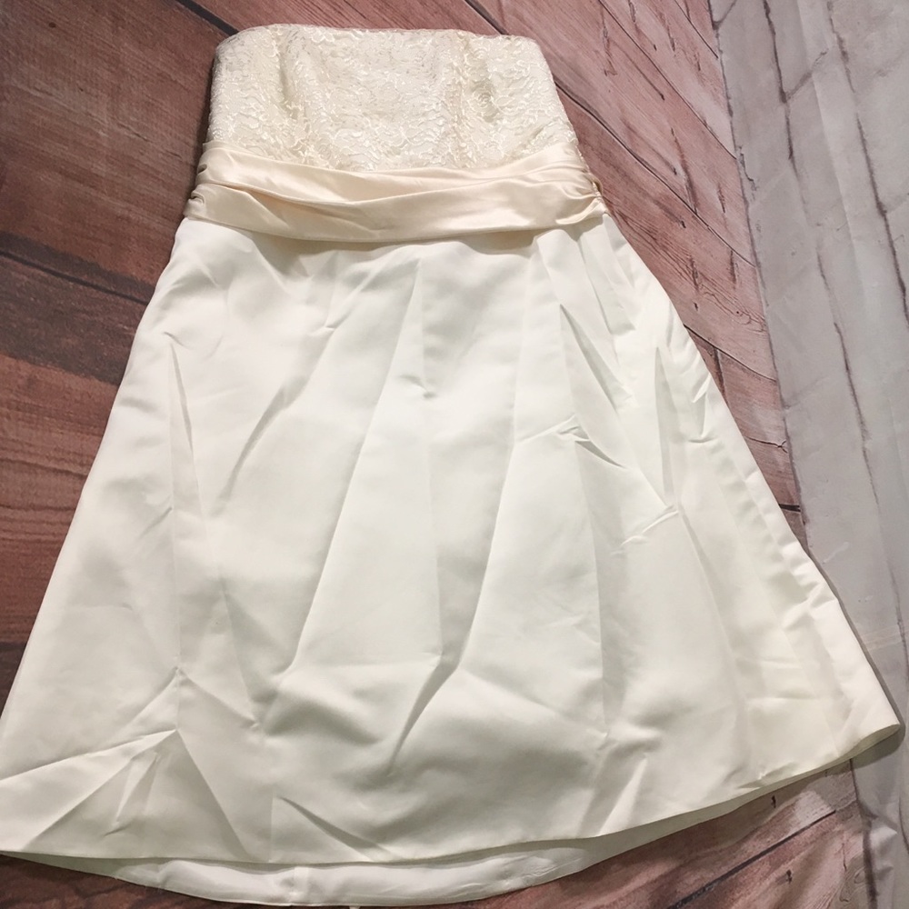 David’s Bridal Galina Plus Size Wedding Dress